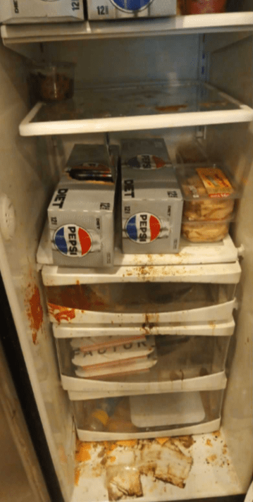 Before fridge cleaning service in Pickering