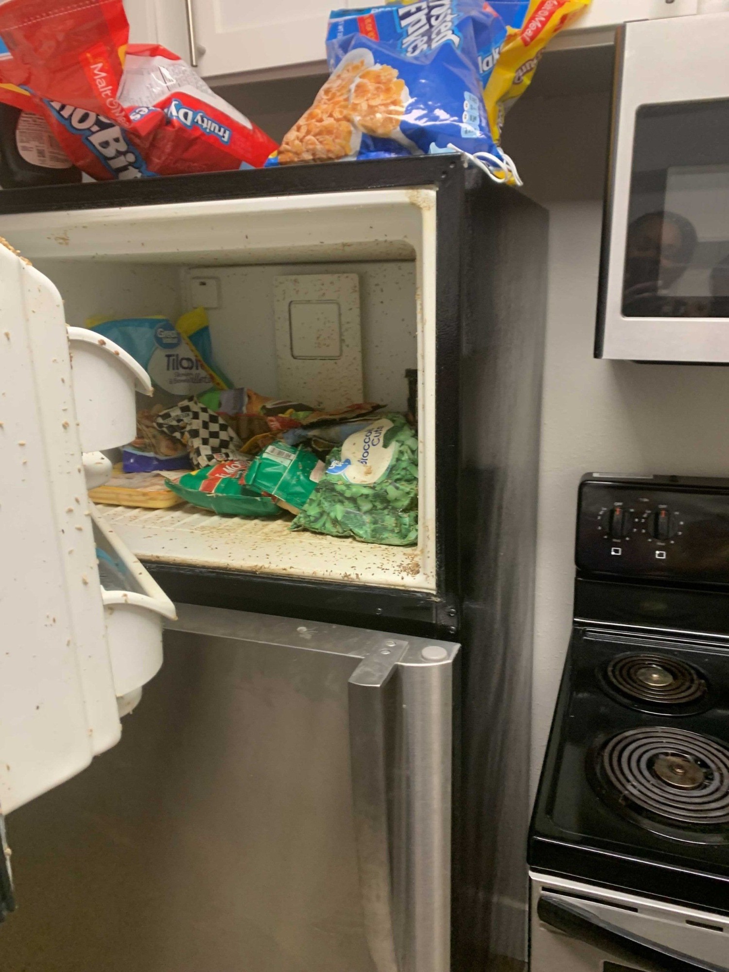 Before deep freezer cleaning service in Whitby