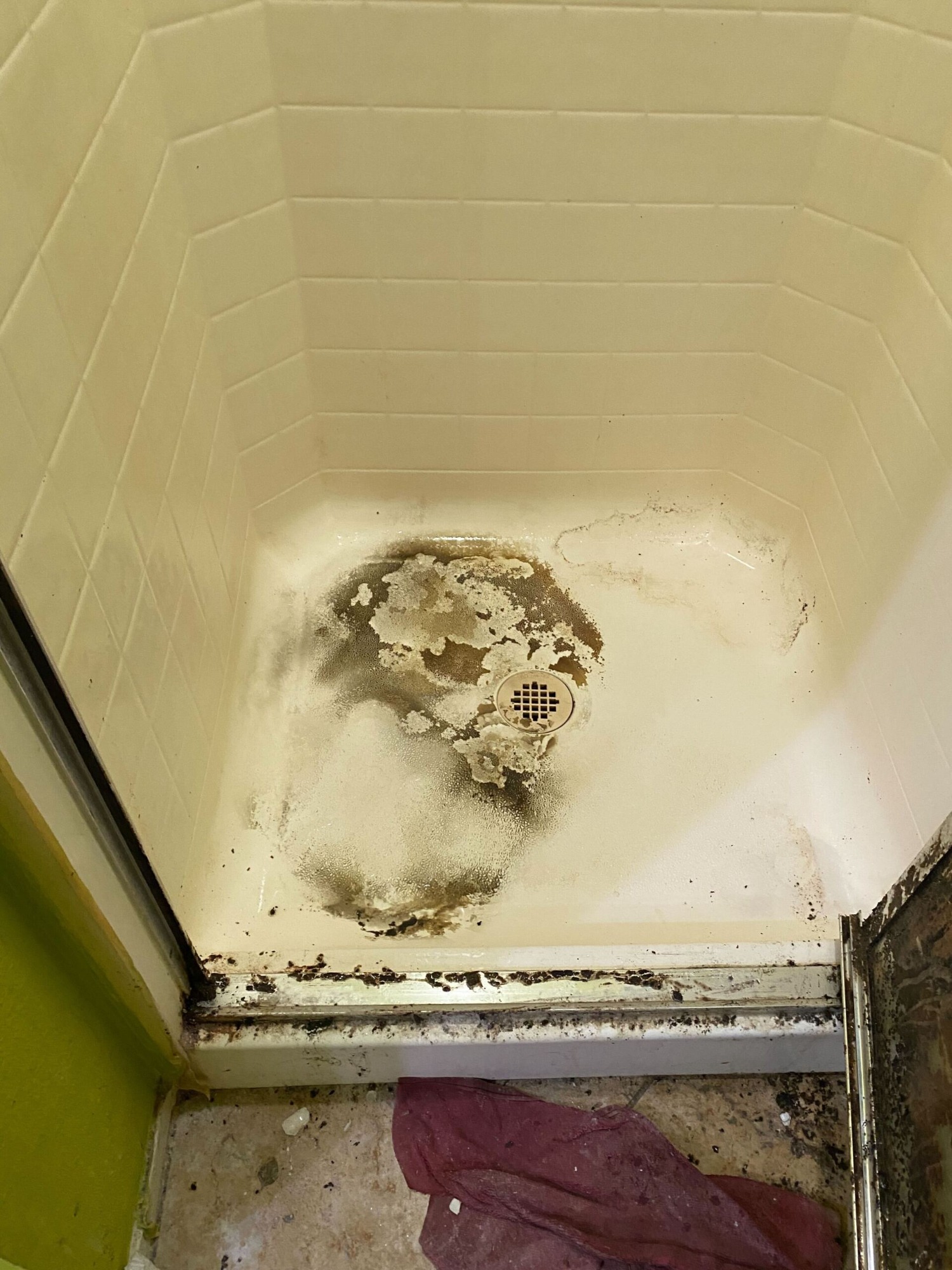 Before bathroom deep clean service in Whitby