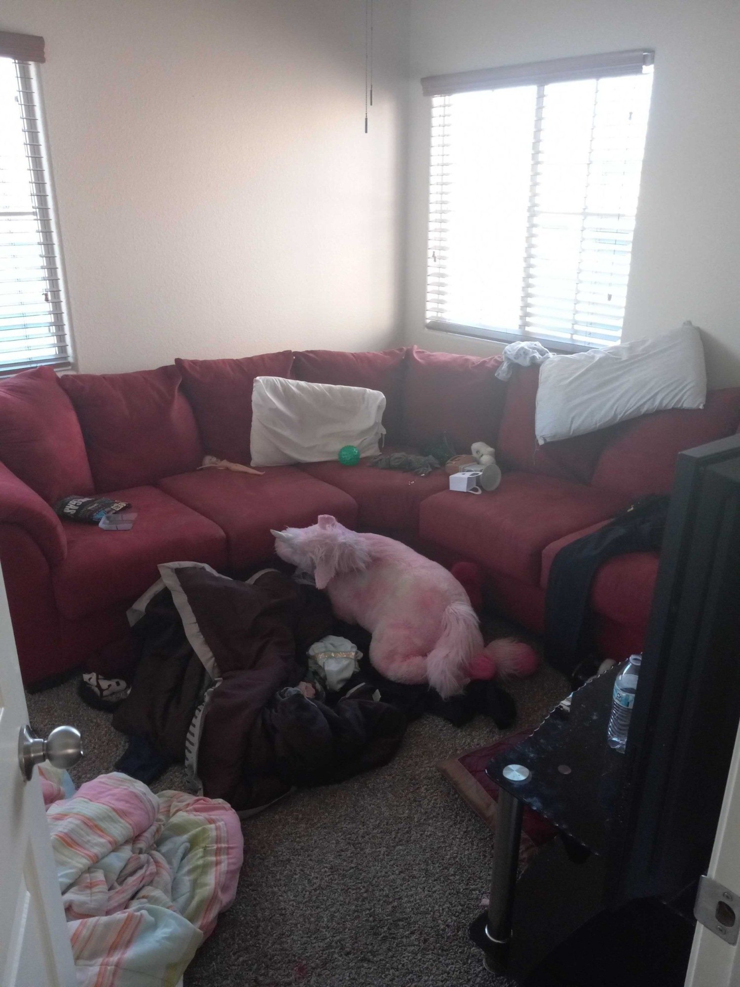Before living room organization service in Ajax