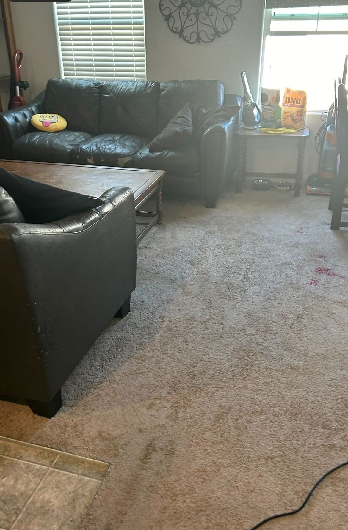After living room organization service in Pickering